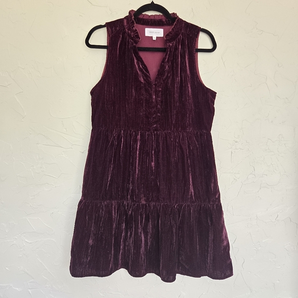 Dear John Velvet Plum Purple Tiered Dress - Picture 3 of 10